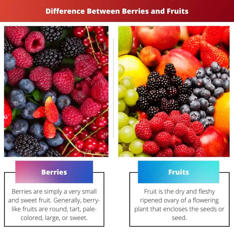 ผลเบอร์รี่ vs ผลไม้ - ความแตกต่างระหว่างผลเบอร์รี่และผลไม้