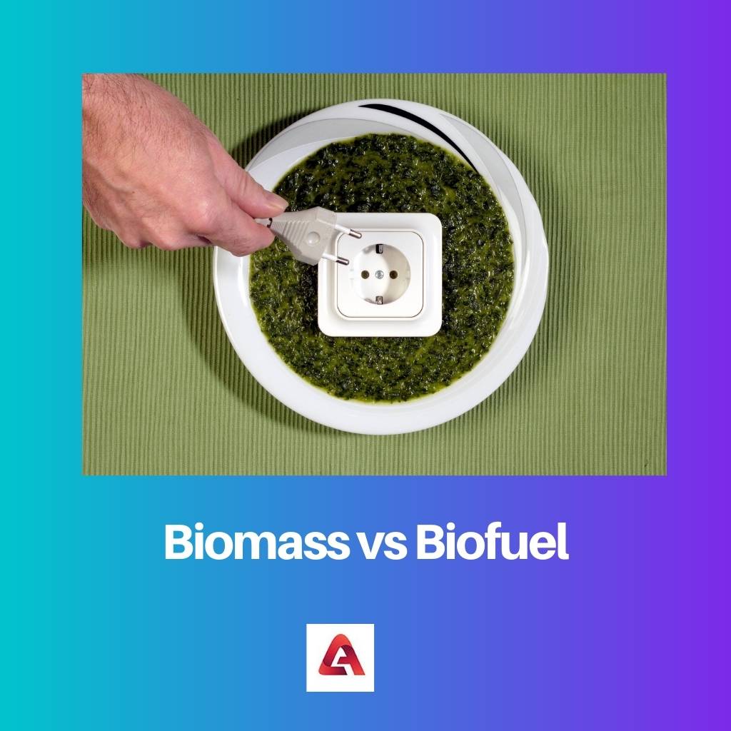 Biomasa vs biopalivo