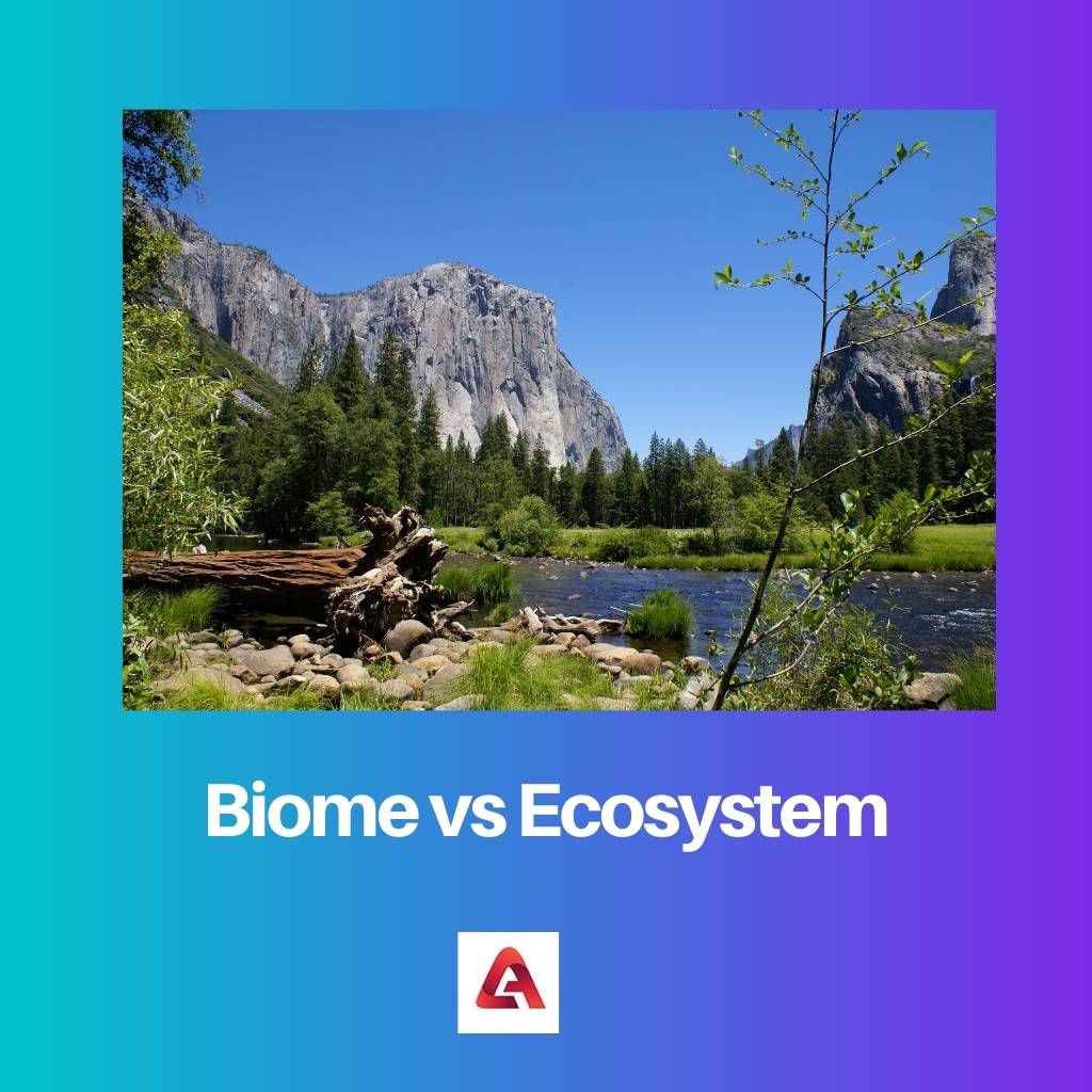 Biome vs ekosustav