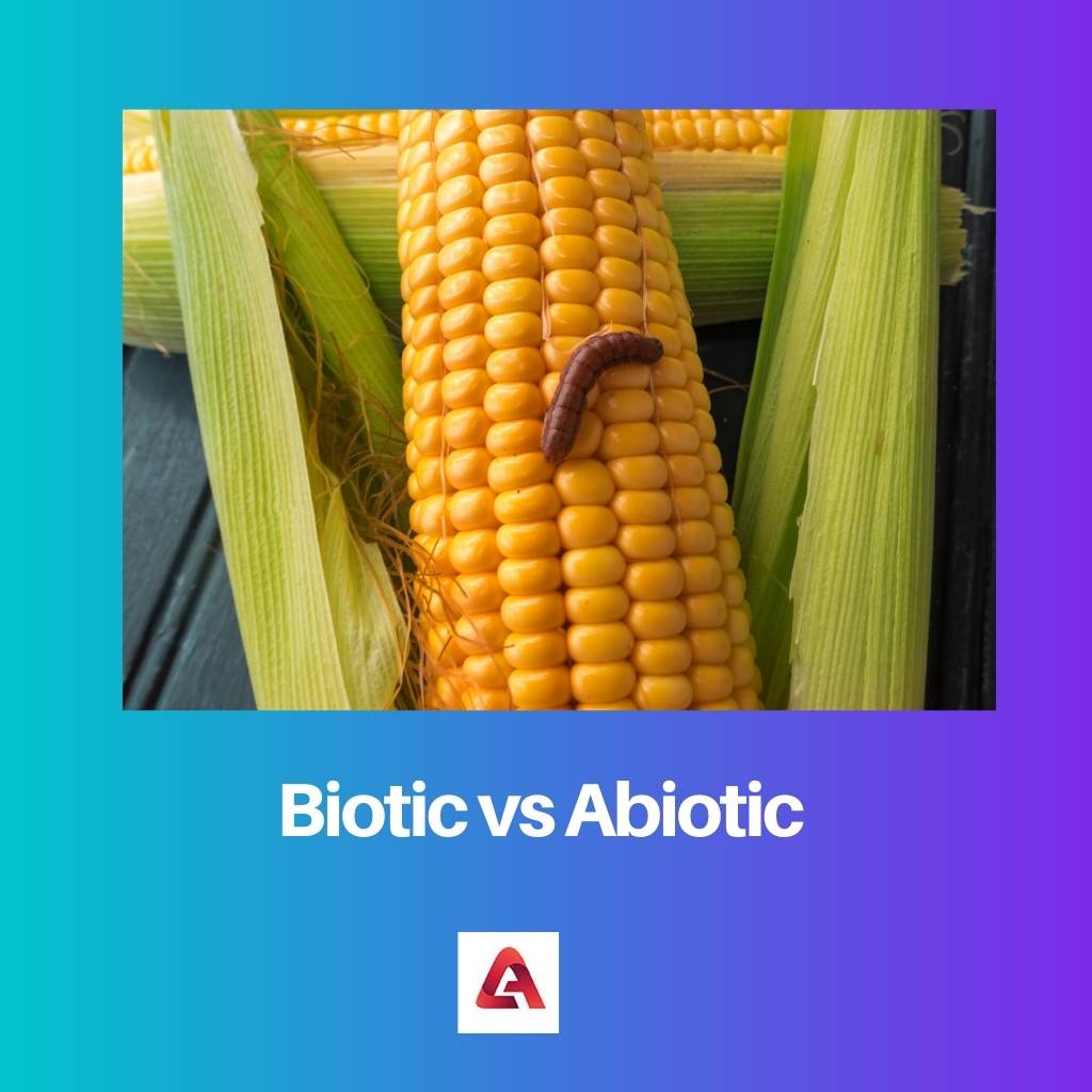 Biotique vs Abiotique