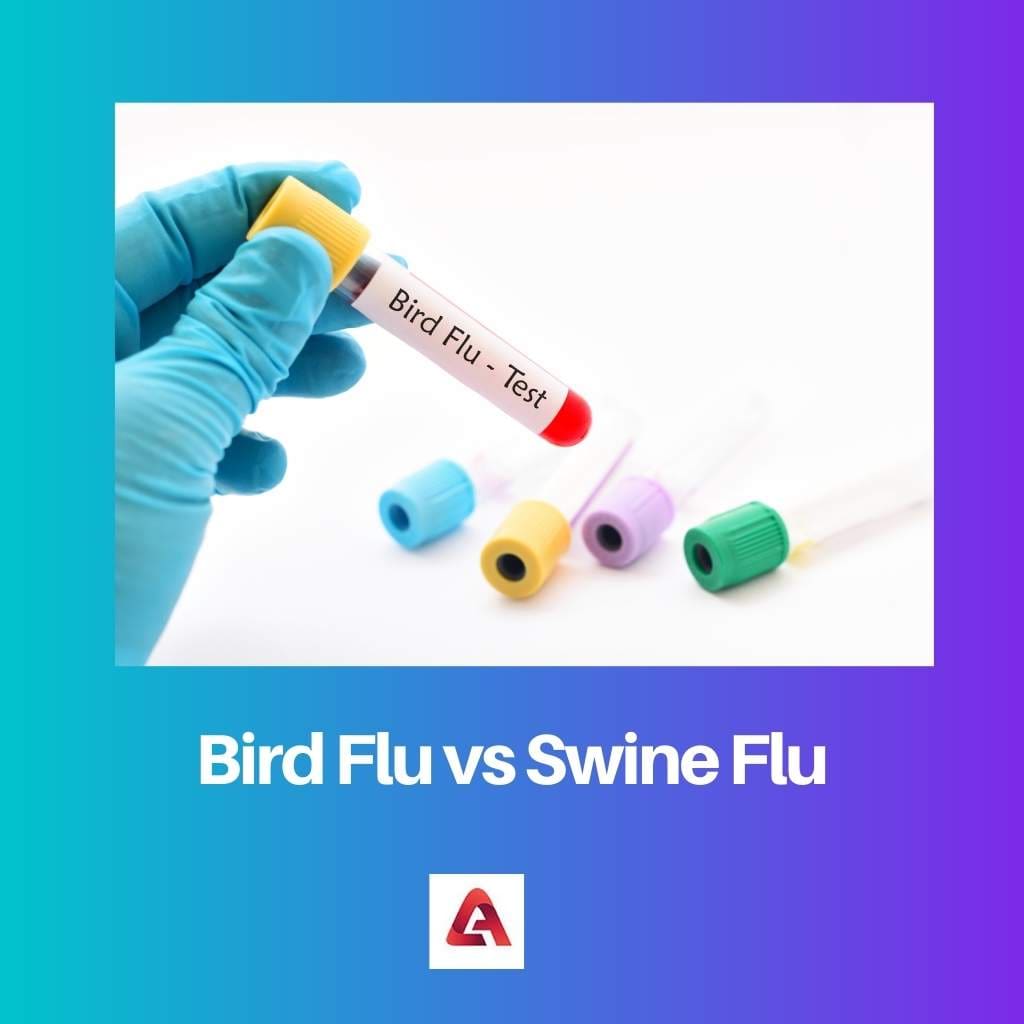 Influenza aviaria contro influenza suina