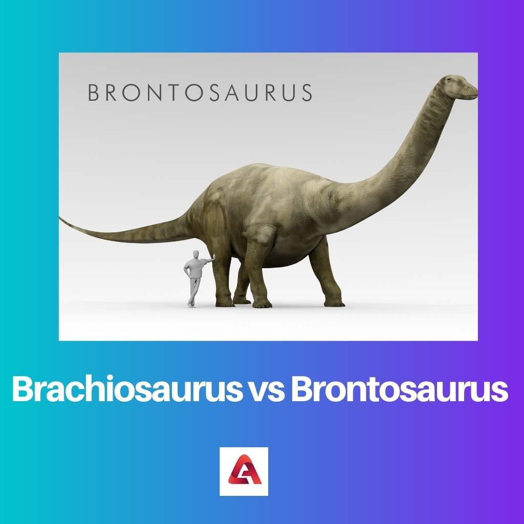 Brachiosaurus gegen Brontosaurus