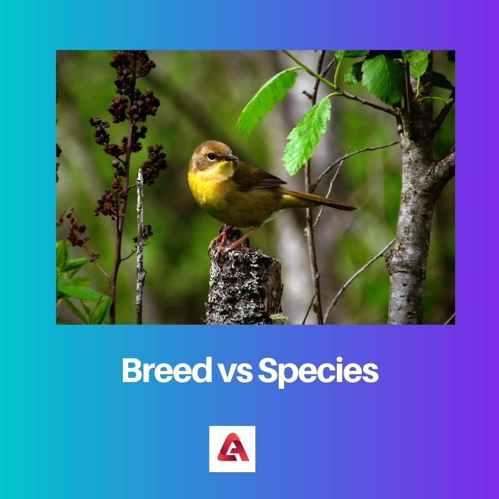Berkembang biak vs Spesies