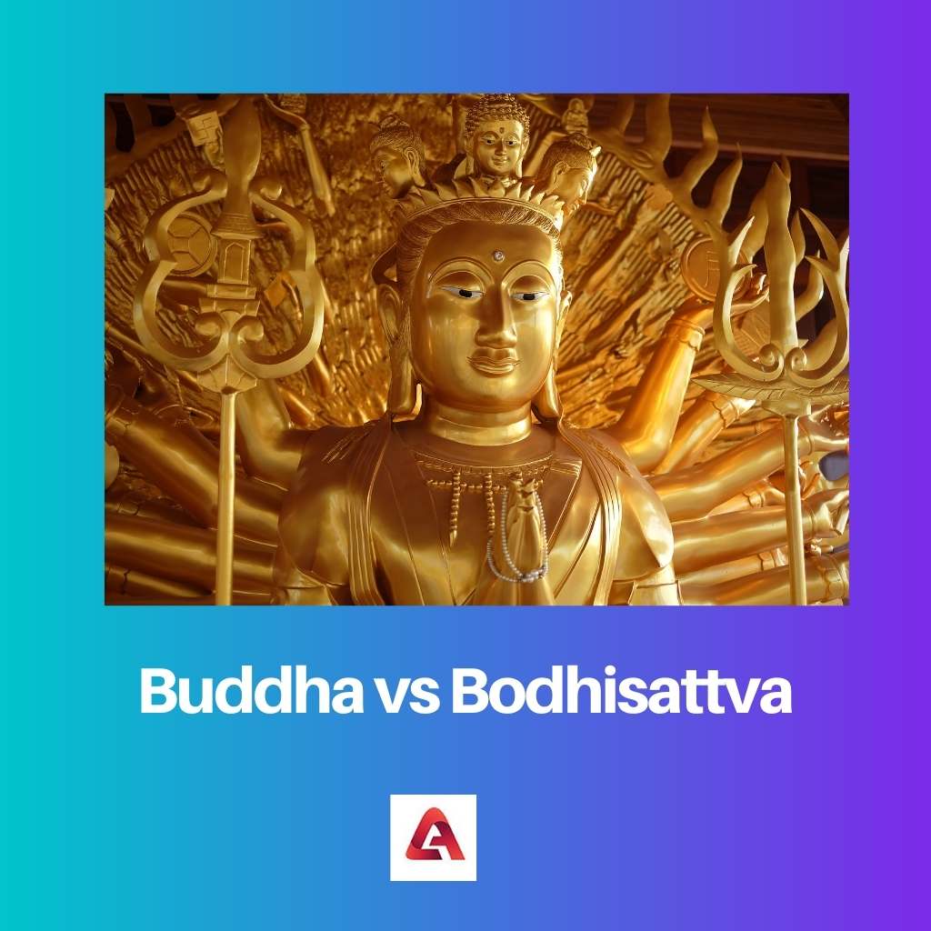 Buddha vs Bodhisattva