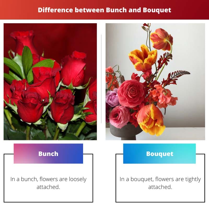 Bunch vs Bouquet – Was ist der Unterschied?