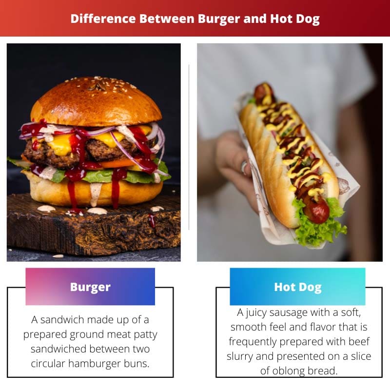 Burger versus Hot Dog - Verschil tussen Burger en Hot Dog