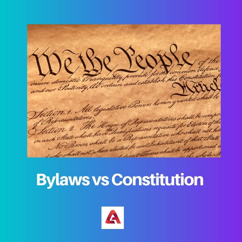 Stanovy vs Ústava