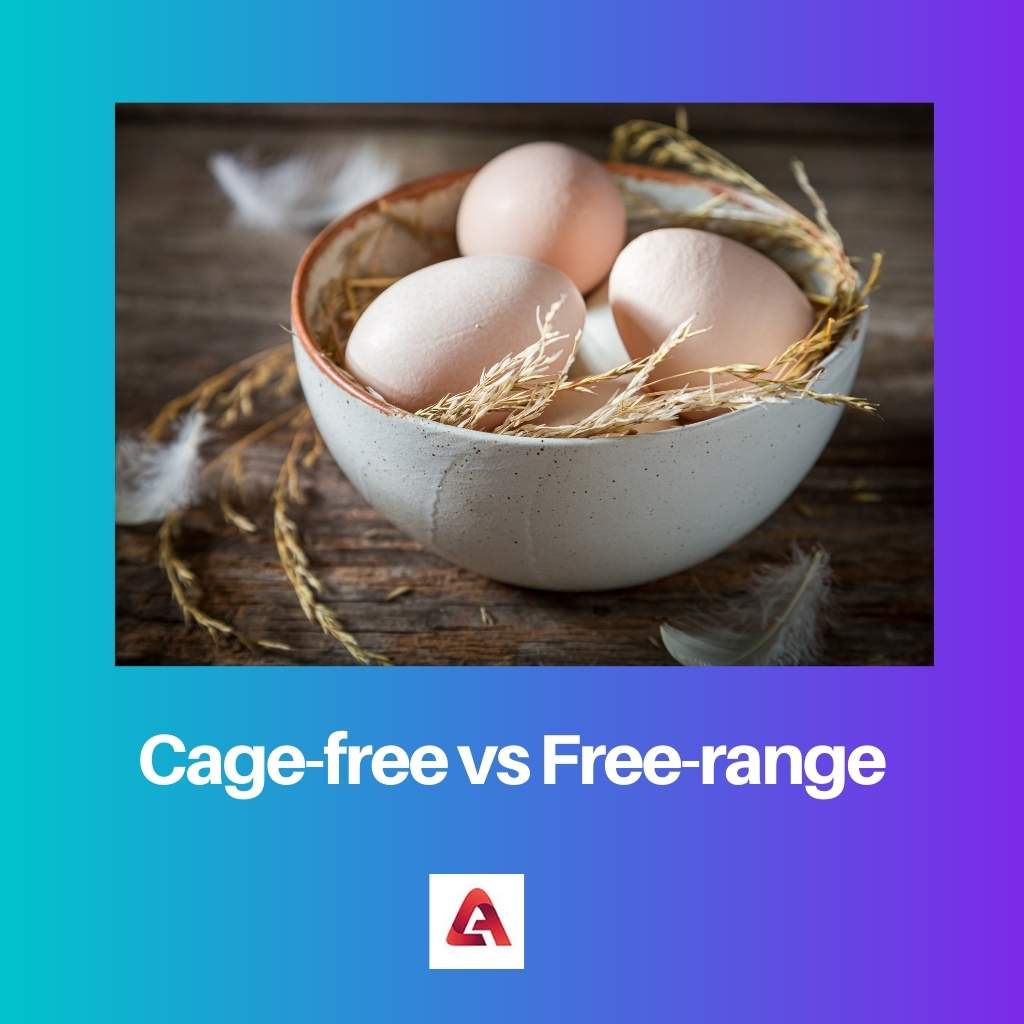 Cage free versus Free range