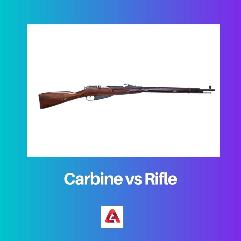 Carabine vs Fusil