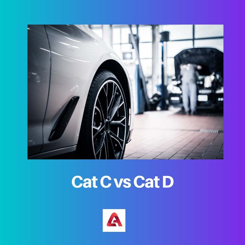 Cat C vs Cat D