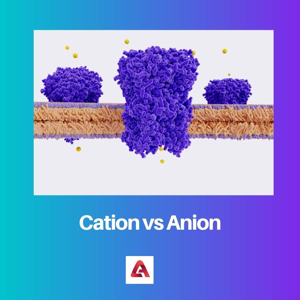 Cation vs Anion