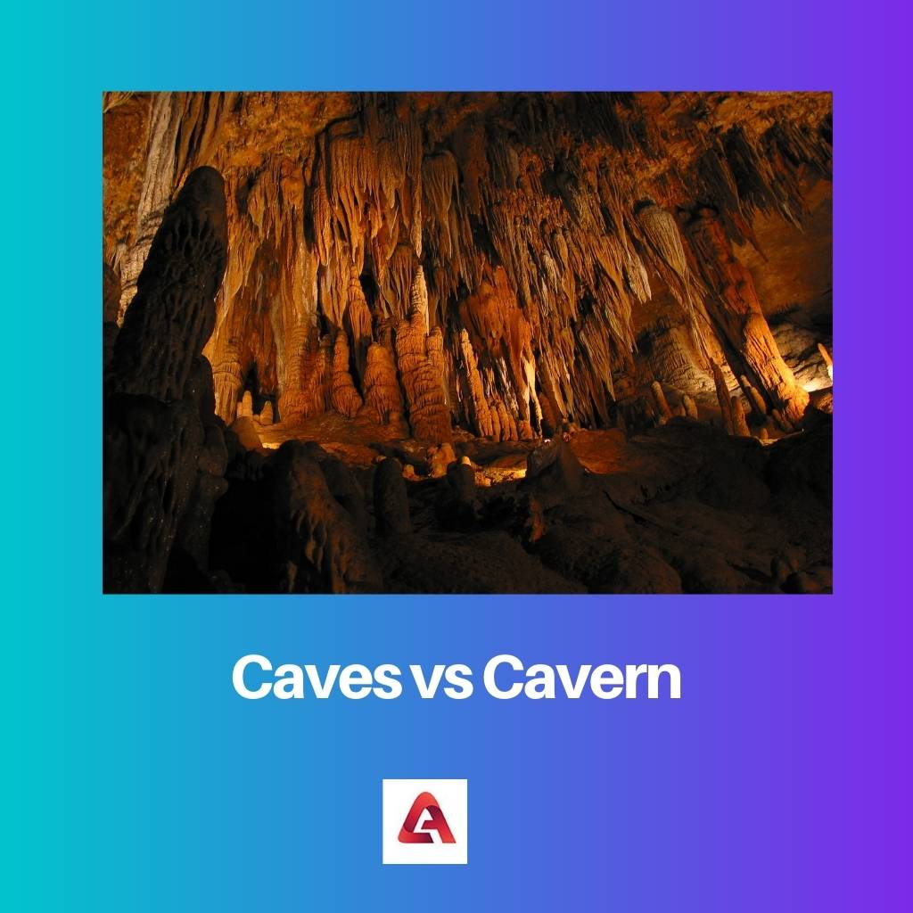 洞窟 vs 洞窟