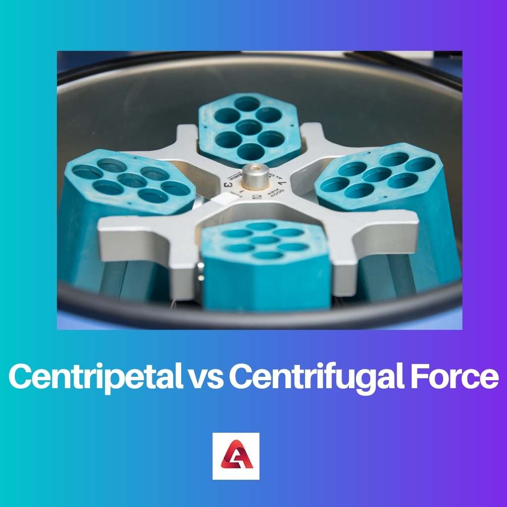 Force centripète vs force centrifuge