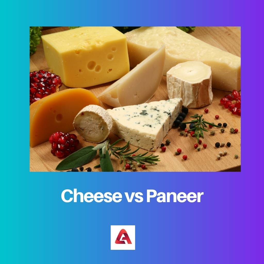 Cheese vs Paneer