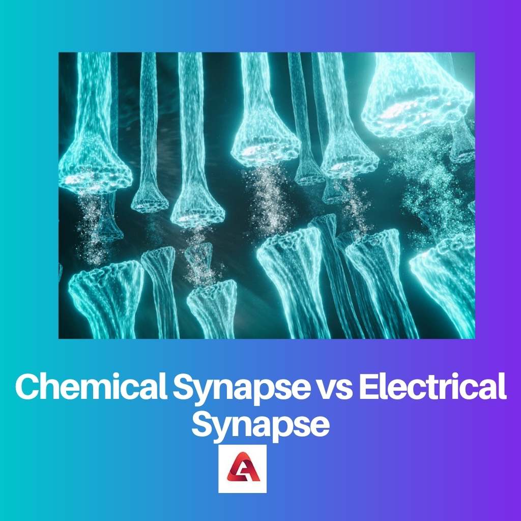 Sinapsis química vs sinapsis eléctrica