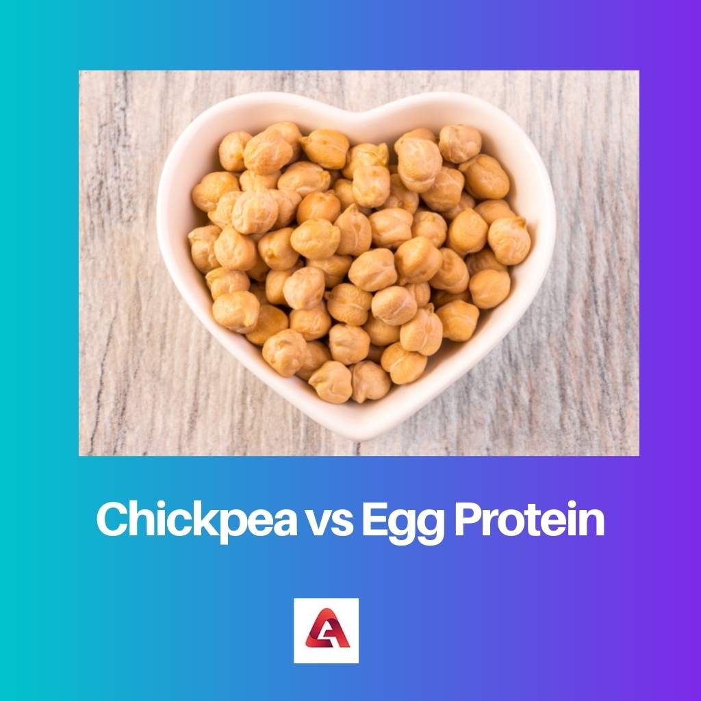 Garbanzo vs proteína de huevo