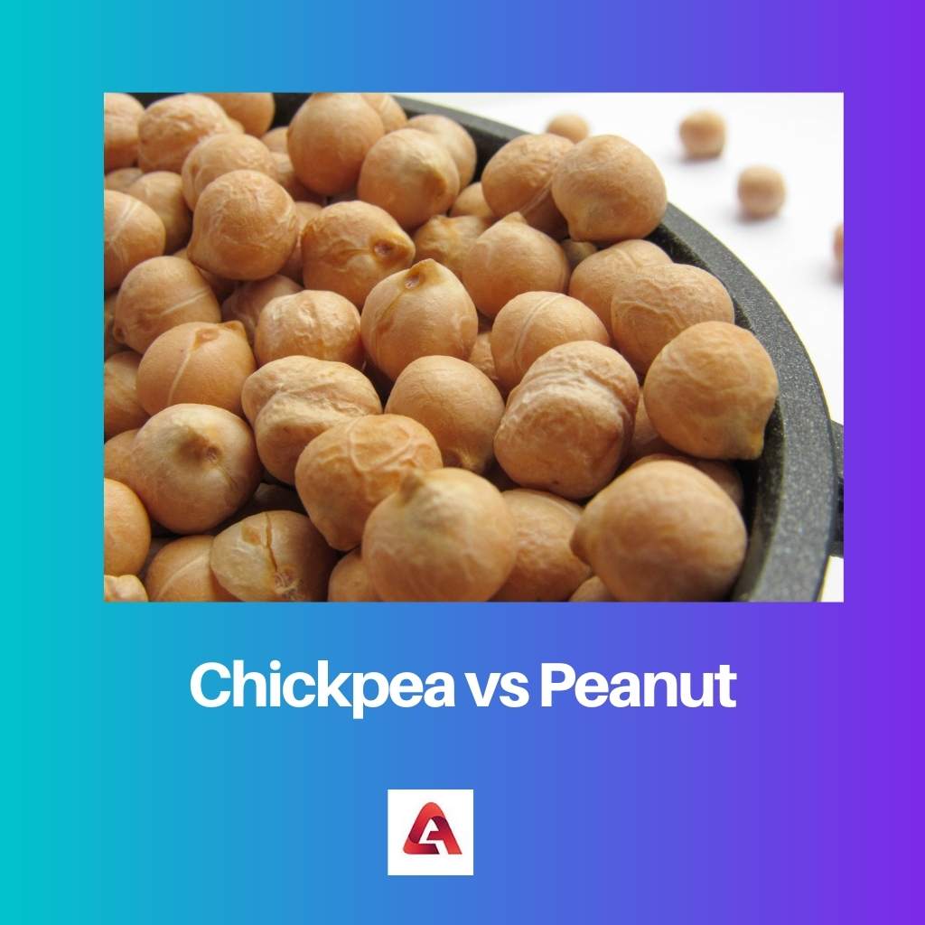 Chickpea vs Peanut