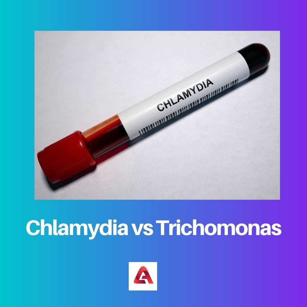 Chlamydia vs Trichomonas