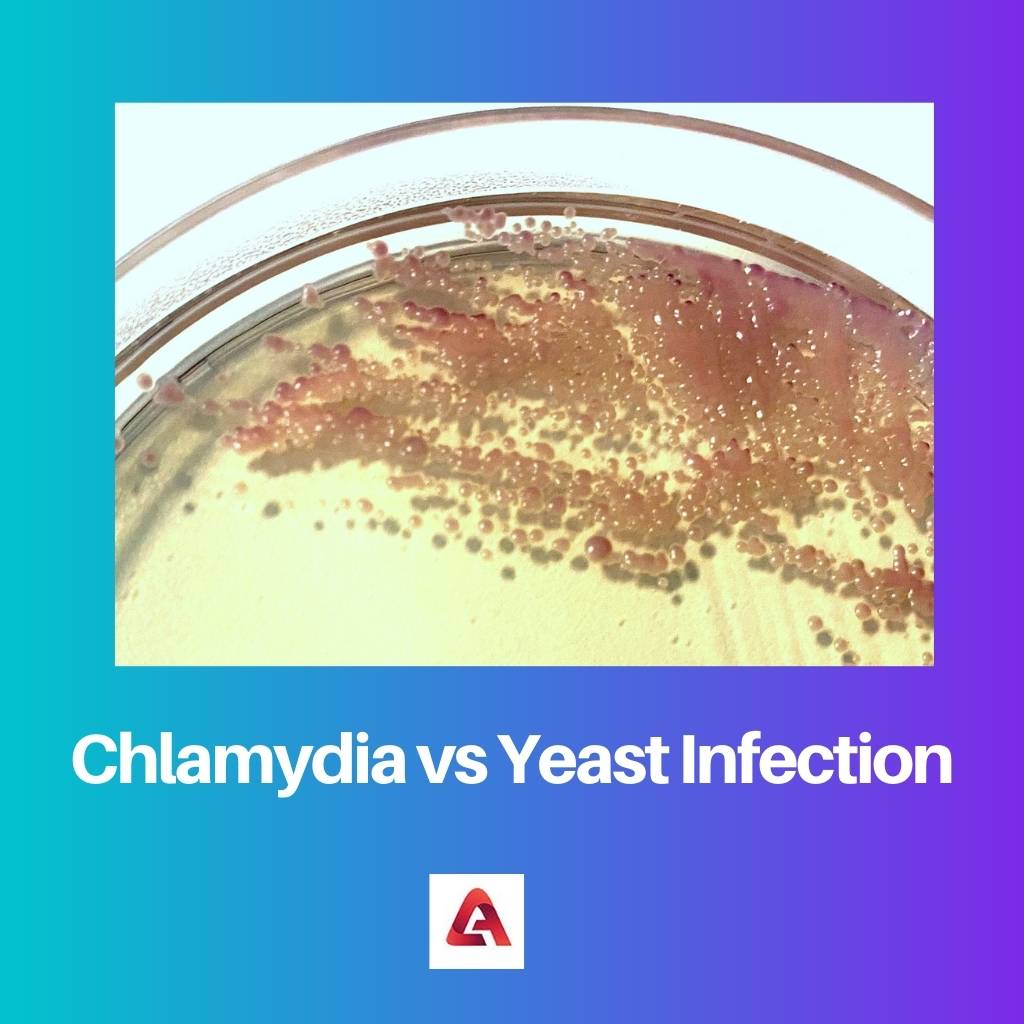 क्लैमाइडिया बनाम यीस्ट संक्रमण