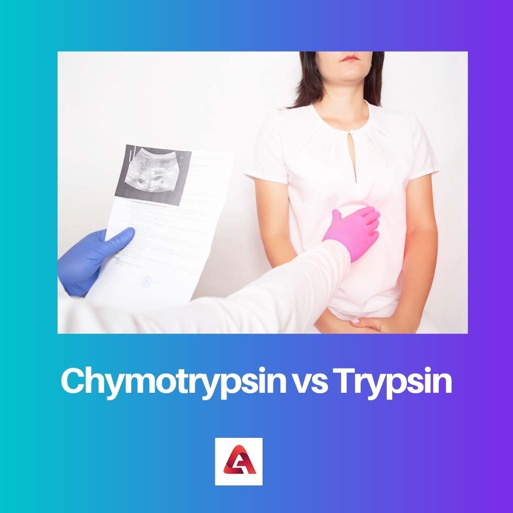 Chymotrypsine versus trypsine