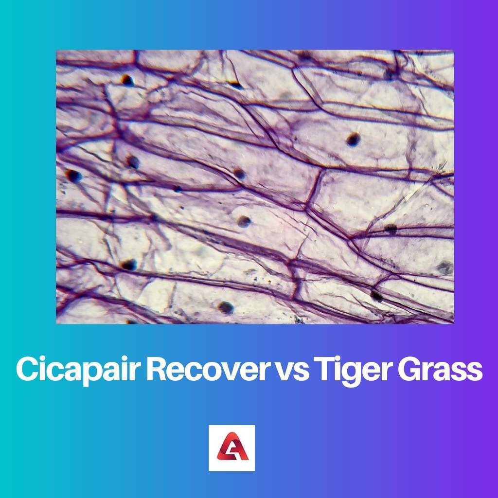 Cicapair Recover vs Tiger Grass