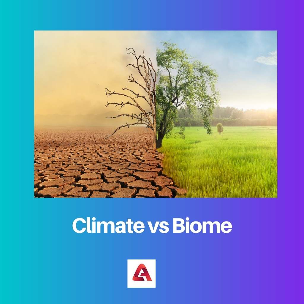 Khí hậu vs Quần xã sinh vật