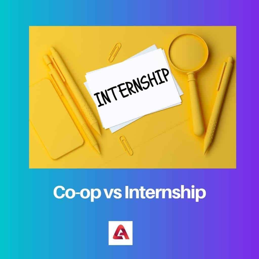 Coop vs Internship Difference and Comparison