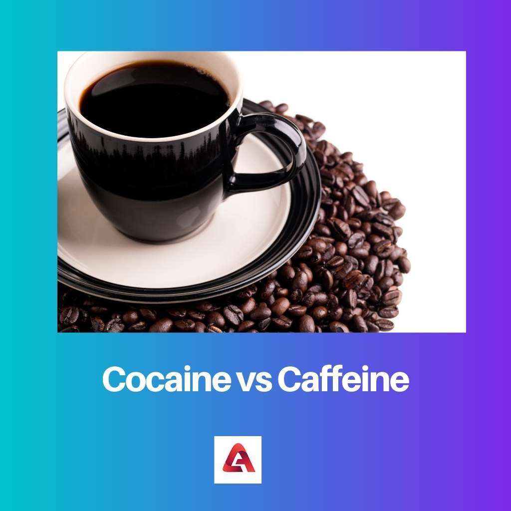 コカイン vs カフェイン