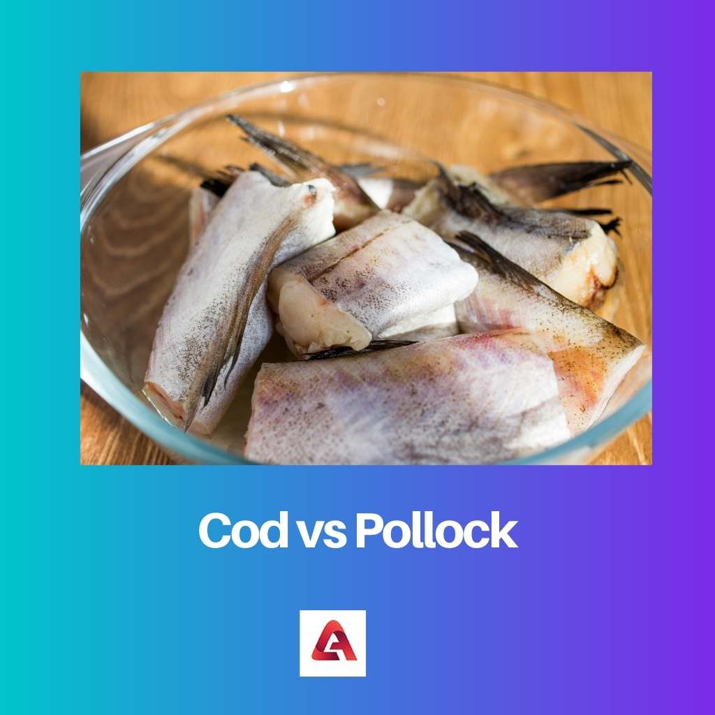Ikan kod vs pollock