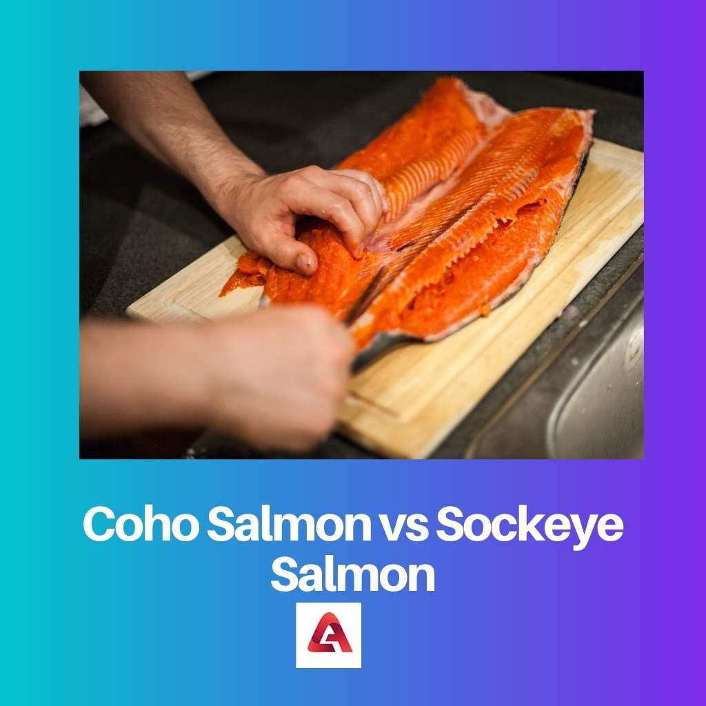 Salmón coho vs salmón rojo