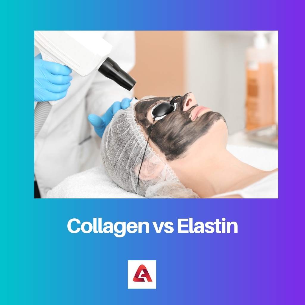 Collagen vs Elastin