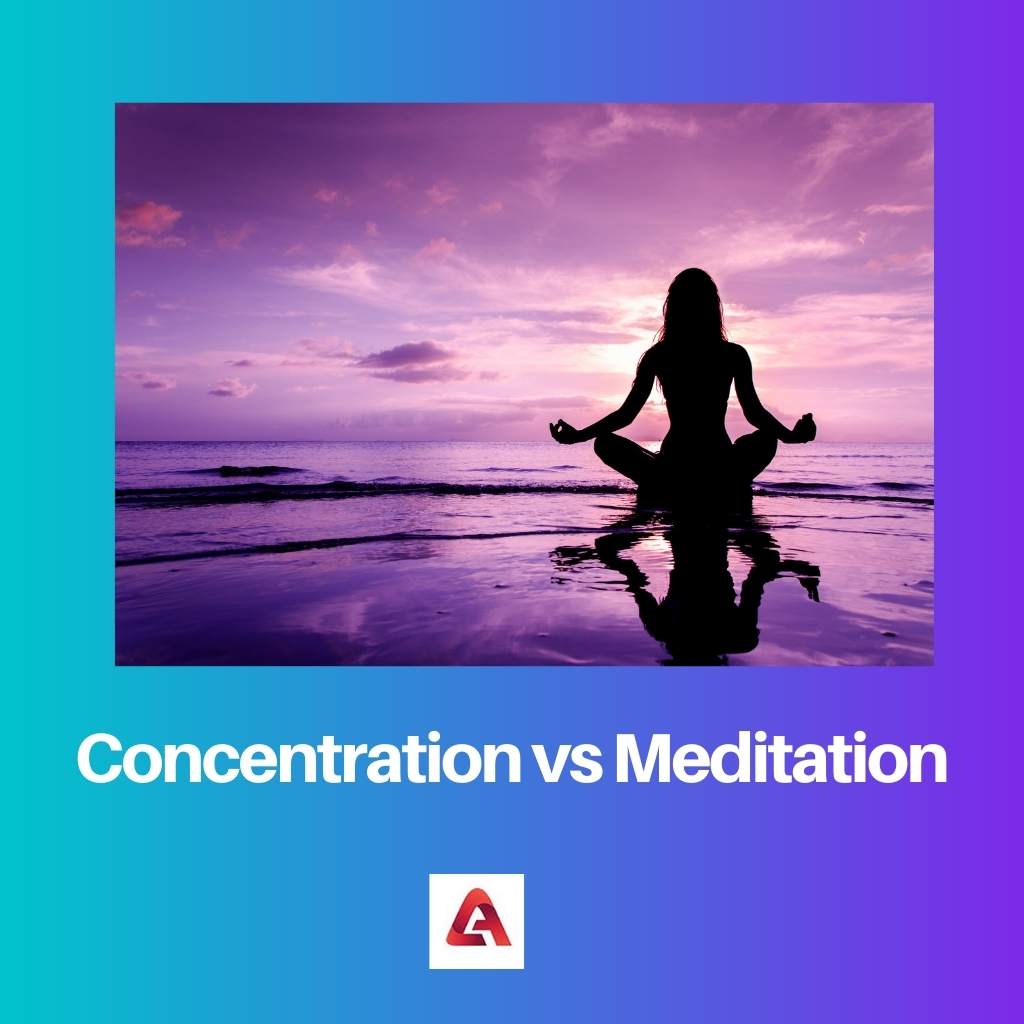 Concentration vs Meditation