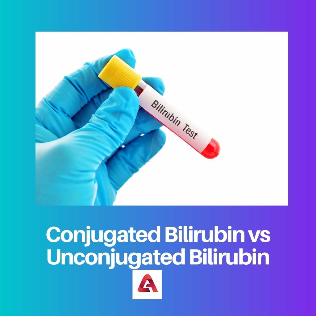 Konjugovaný bilirubin vs. nekonjugovaný bilirubin