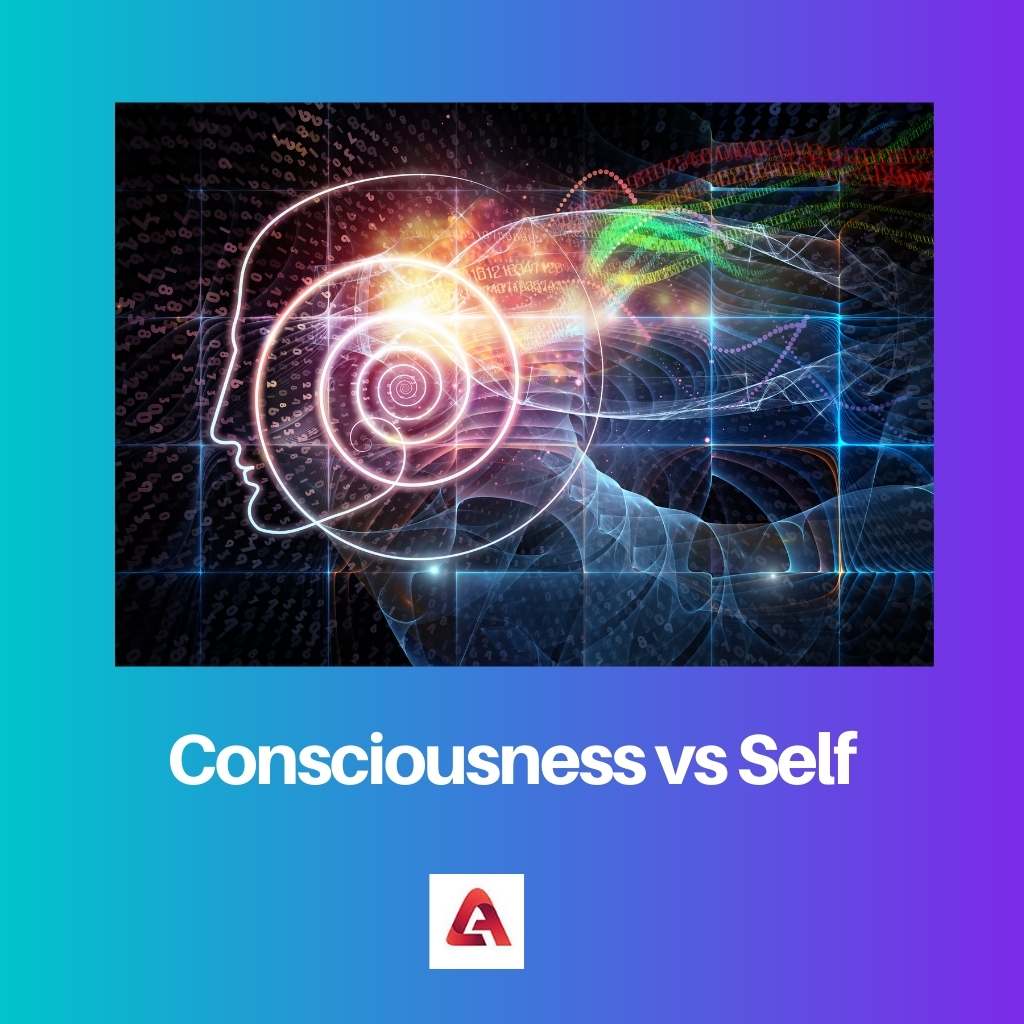 Bewusstsein vs. Selbst