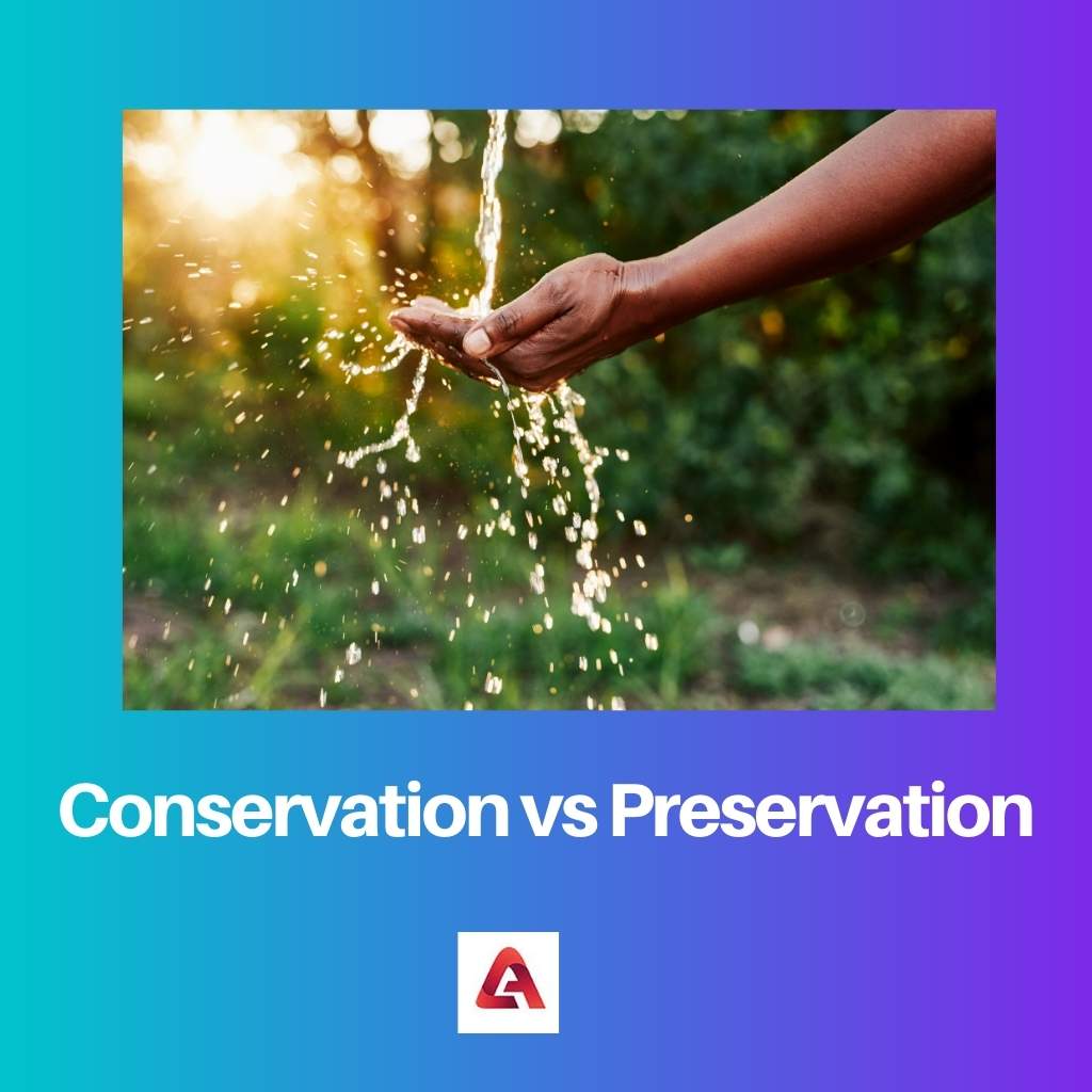 Conservación vs Preservación 1