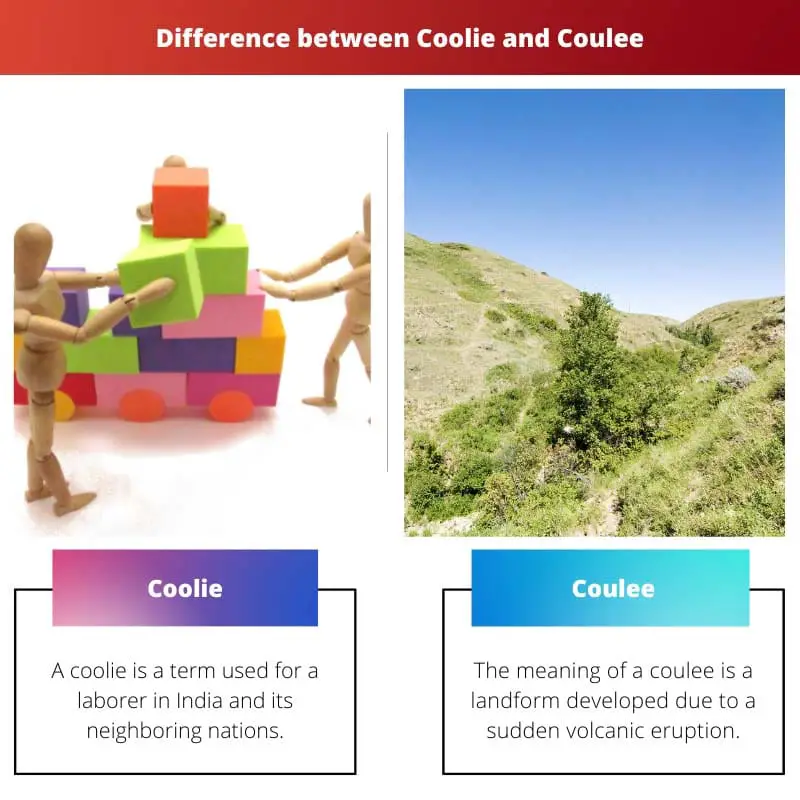 Coolie vs Coulee – Sve razlike