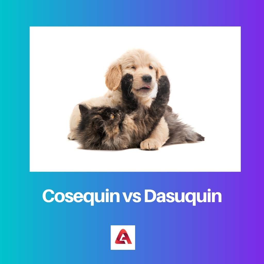 Cosequin 对 Dasuquin