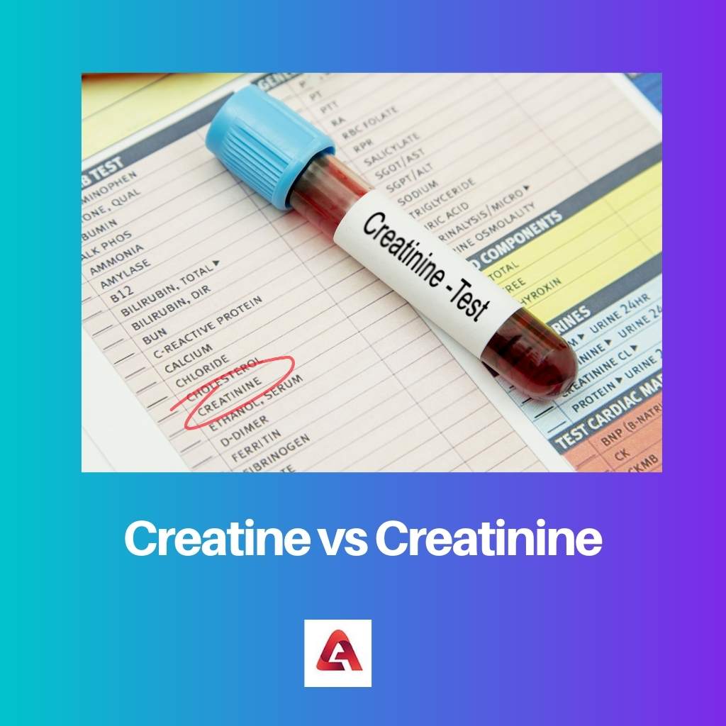 Creatine versus creatinine