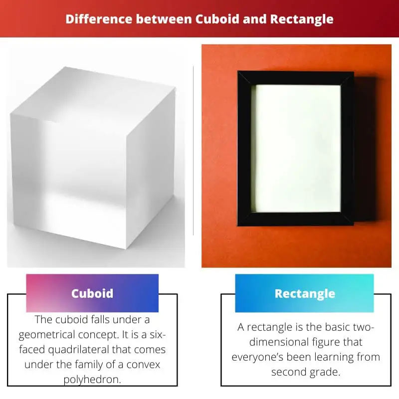 Cuboïde vs Rectangle - Ce qui est différent