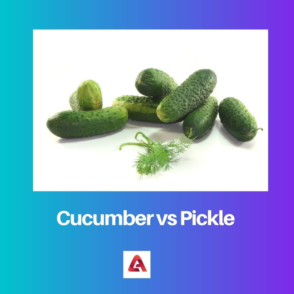 Komkommer versus augurk