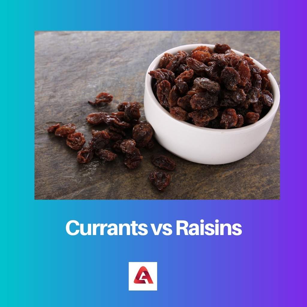 Currants vs Raisins