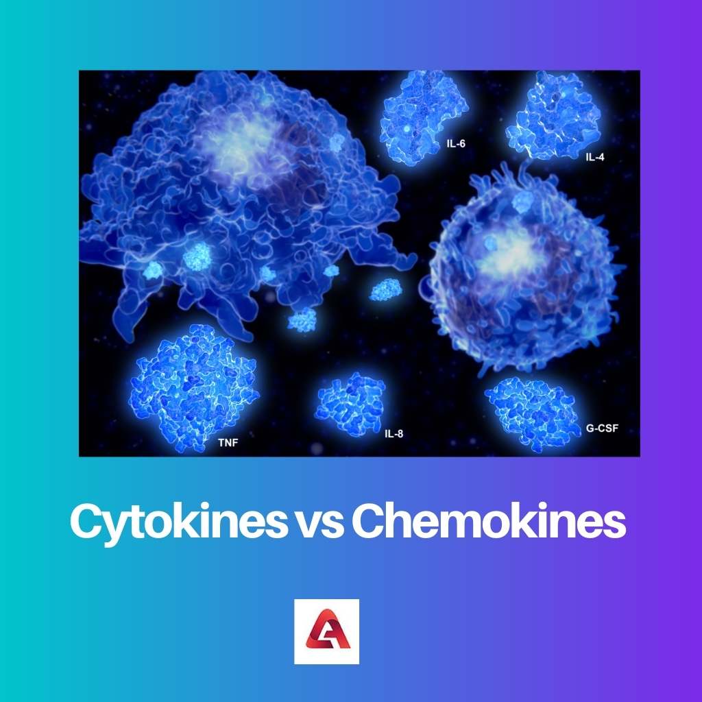 Cytokines vs chimiokines