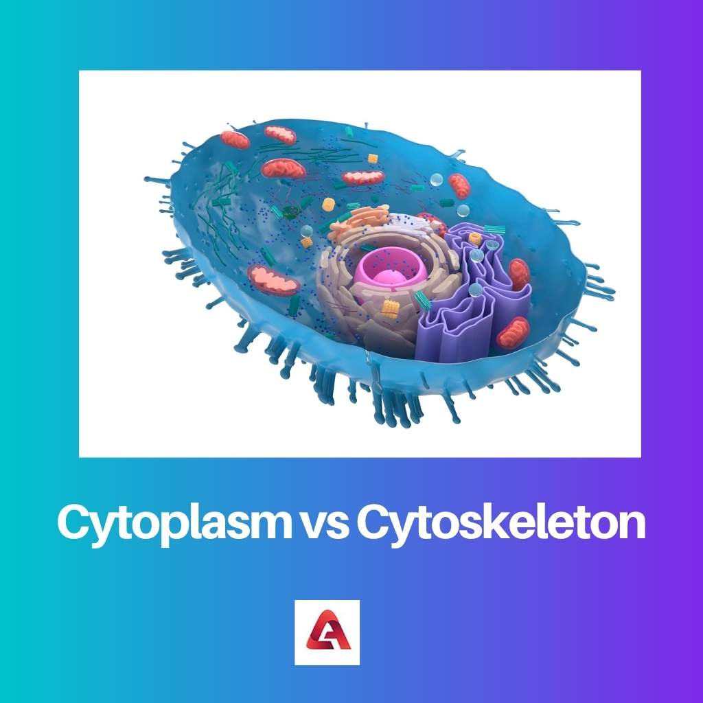 Cytoplasma versus cytoskelet
