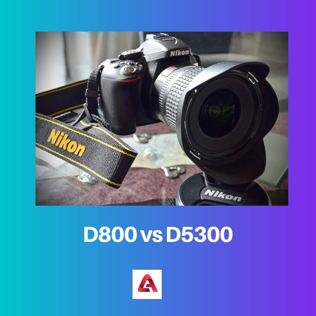 D800 vs D5300