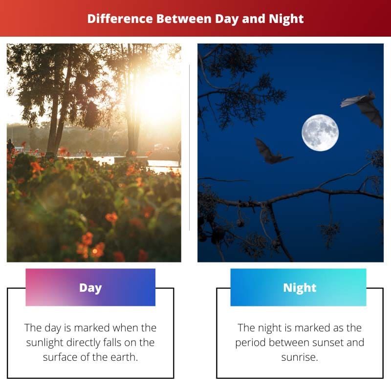 Giorno contro notte - Differenza tra giorno e notte