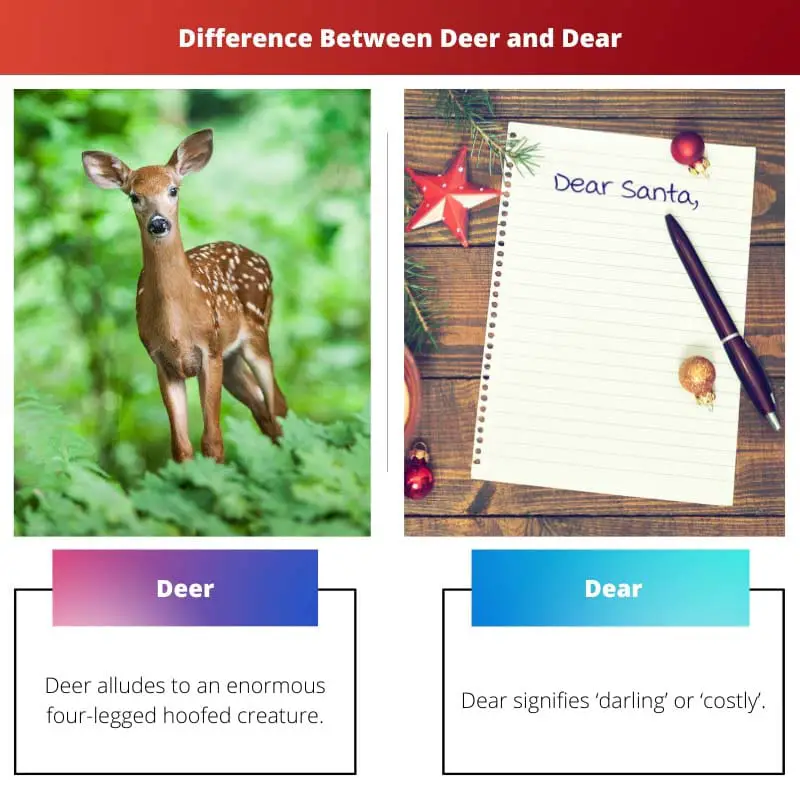 Deer vs Dear – Unterschied zwischen Deer und Dear
