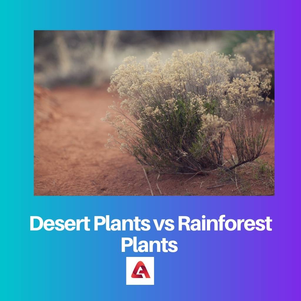 砂漠の植物と熱帯雨林の植物