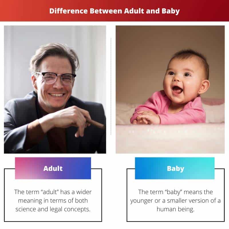 Diferença entre adulto e bebê