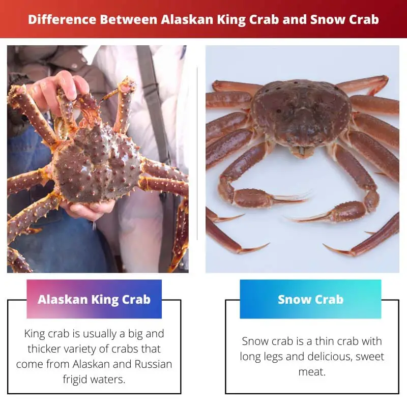 Différence entre le crabe royal d'Alaska et le crabe des neiges