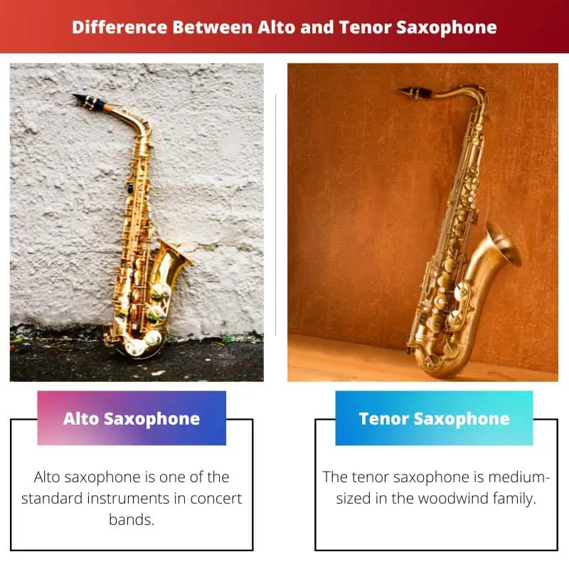 Difference Between Alto and Tenor